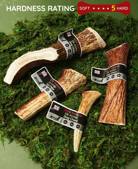elk-antler-dog-chew-very-long-lasting-full-of-minerals-100-natural-dog-chew