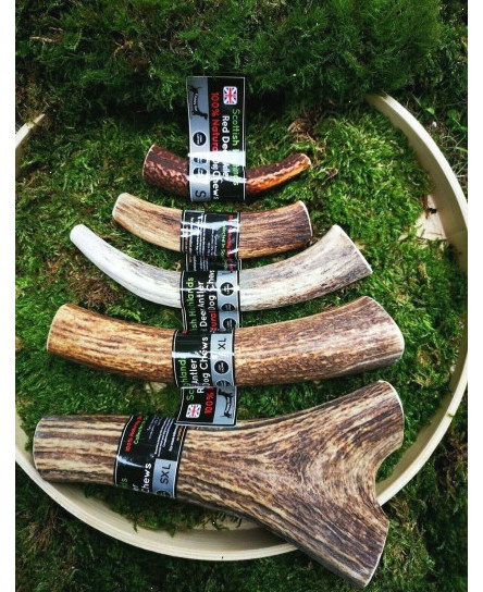 scottish-red-deer-antler-dog-chew-long-lasting-full-of-minerals-100-natural