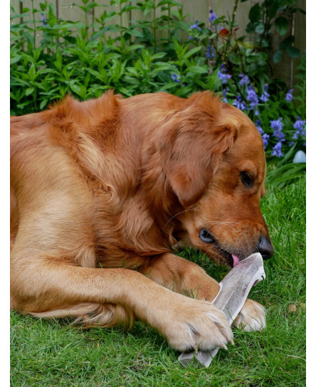 Split Wild Antler Dog Chews Soft Chew Puppy Friendly 100% Red Deer Split Chew