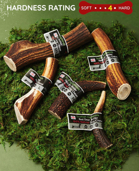 Deer Antler Dog Chew - Long Lasting - Full Of Minerals Calcium - Naturally Shed